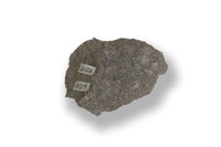 M 02397
<br/>
<br/>
<em></em>